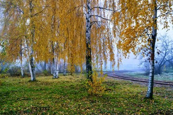 Autumn mist. / ***