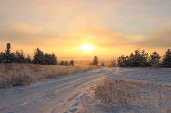 Frosty sunset / ***