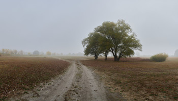 Oktober Nebel / ***