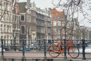 Amsterdam / ***