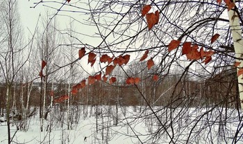 An der Schwelle zum Herbst / ***