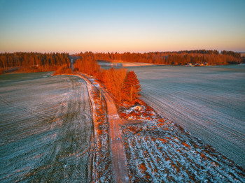 Abend Dezember / https://max-helloween.livejournal.com/193775.html