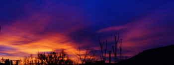 Winterdämmerung / ***