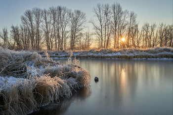 Frostigen Morgen. / ***