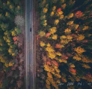 Road / ***