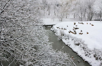 Überwinterung / ***