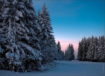 The point in the evening / ***