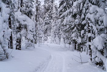 winter has come / ***