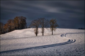 Weg zu den Eichen. / Krumme Wege.