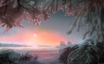 Foggy morning / ***
