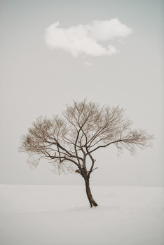 winter has come / ***