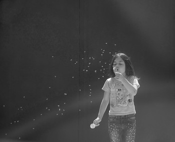 Taraxacum / ***
