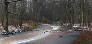 Winter / ***