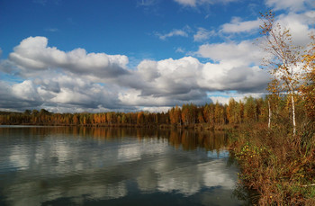 gold autumn / ***