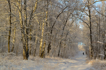 On the walk / ...