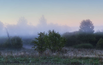 In der Umarmung des Nebels / ***