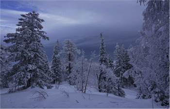 Vor dem Sturm ... / ***
