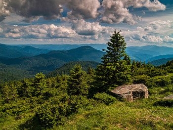 &nbsp; / [img]https://i.imgur.com/aTQ2yAK.jpg[/img]
[img]https://i.imgur.com/aQSsqvy.jpg[/img]
[img]https://i.imgur.com/D3XJDt9.jpg[/img]
[img]https://i.imgur.com/aTnvIZu.jpg[/img]
