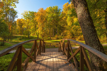 The park ... / ***