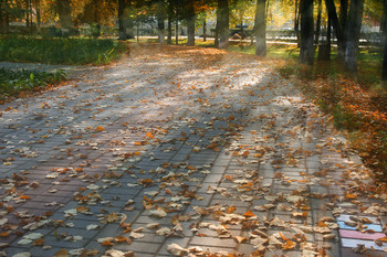 In autumn park / ***