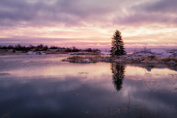 magical evening / ***