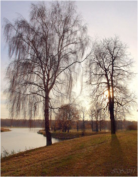 November / ***