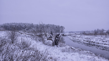 &nbsp; / 15.12.2018.