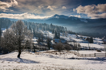 weiß winter / ***