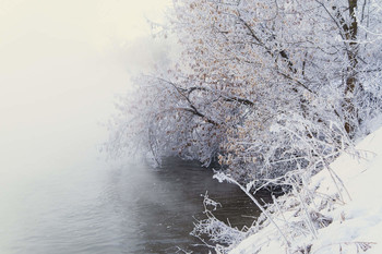 Severe cold / ***