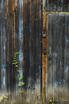 Optimistic / ***