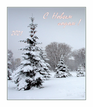 Happy New Year! / ***