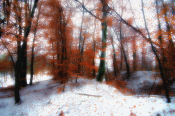 Kupferwald / ***