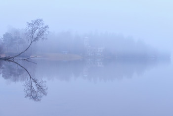 &nbsp; / Nikkor 24-120f4