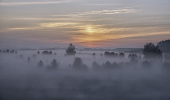 Nebligen Morgen ... / 12.09.2018.