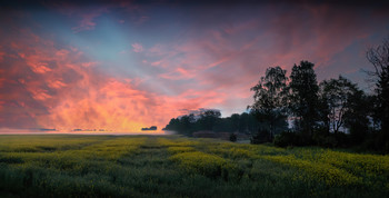 Morgendämmerung / ***