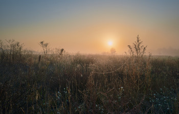 Oktober Nebel / ***