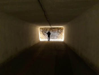 Untitled / ...