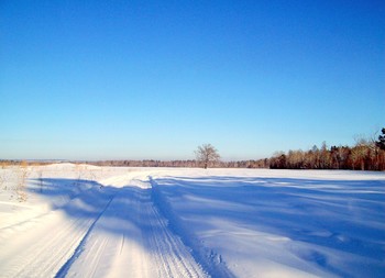 Siberian expanses / ***