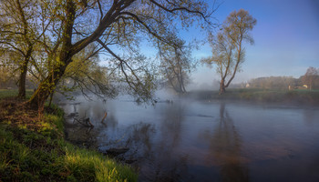 Spring Bank / ***