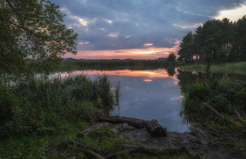 Backwater / 2015