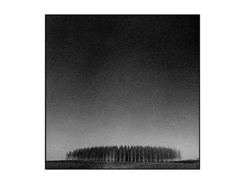 Birchwood / ***