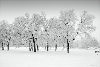 After snowfall / [img]https://i.imgur.com/wANREBh.jpg[/img]