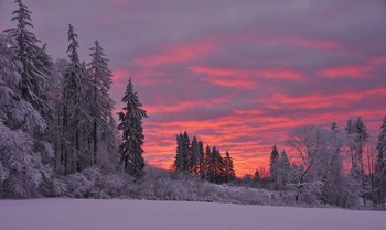 Winterlandschaft / Winterworld im Knüllgebirge.
