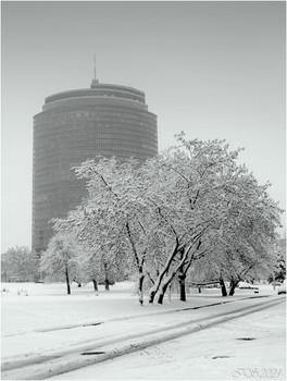 &nbsp; / [img]https://i.imgur.com/cfHSyY7.jpg[/img]