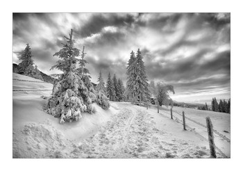 Winter-Märchen / s-w