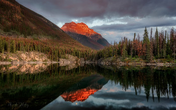 Horse Shoe Lake / ***