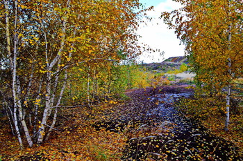 Blattfall / ***