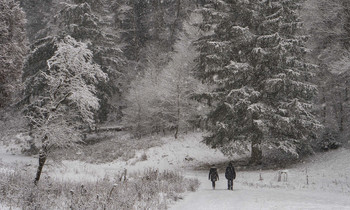 Schnee / ***