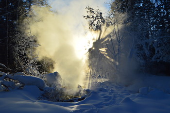 Winterlandschaft / ***