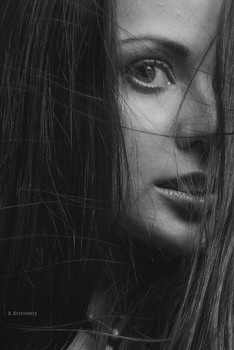 Alexander Krivitskiy / ***